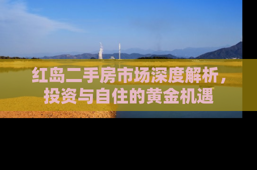 红岛二手房市场深度解析，投资与自住的黄金机遇