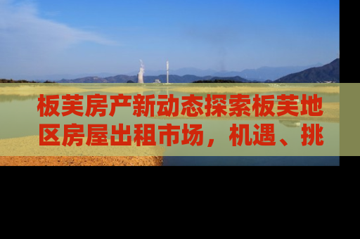 板芙房产新动态探索板芙地区房屋出租市场，机遇、挑战与未来趋势