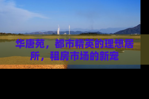 华唐苑，都市精英的理想居所，租房市场的新宠