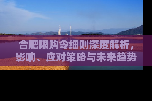 合肥限购令细则深度解析，影响、应对策略与未来趋势