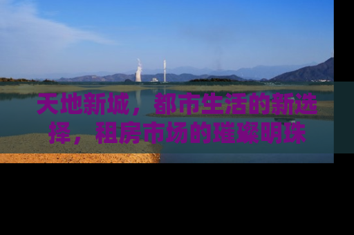 天地新城，都市生活的新选择，租房市场的璀璨明珠