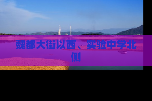 魏都大街以西、实验中学北侧