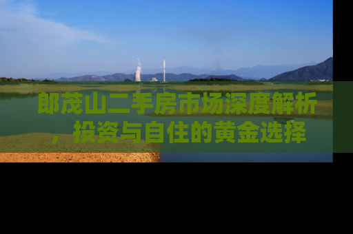 郎茂山二手房市场深度解析，投资与自住的黄金选择