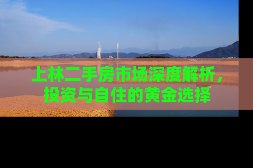 上林二手房市场深度解析，投资与自住的黄金选择