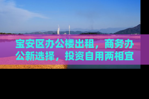 宝安区办公楼出租，商务办公新选择，投资自用两相宜