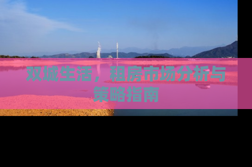 双城生活，租房市场分析与策略指南