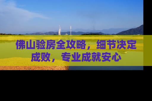 佛山验房全攻略，细节决定成败，专业成就安心