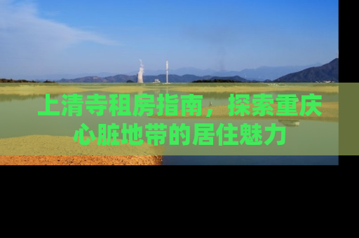 上清寺租房指南，探索重庆心脏地带的居住魅力