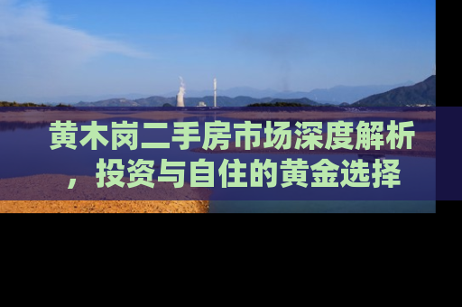 黄木岗二手房市场深度解析，投资与自住的黄金选择