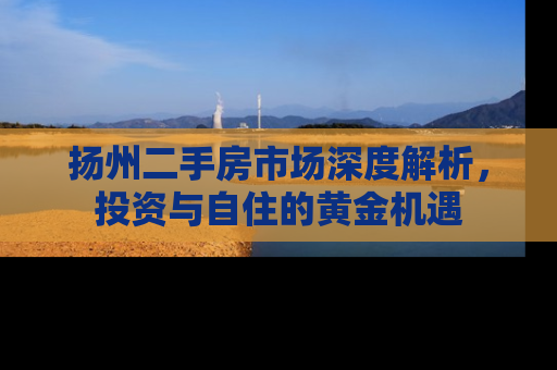 扬州二手房市场深度解析，投资与自住的黄金机遇