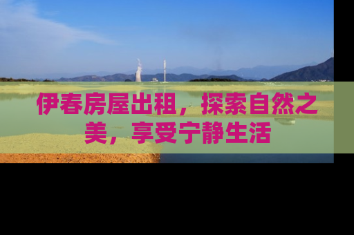 伊春房屋出租，探索自然之美，享受宁静生活