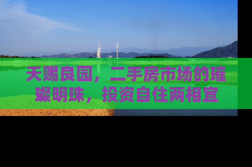 天赐良园，二手房市场的璀璨明珠，投资自住两相宜
