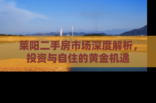 莱阳二手房市场深度解析，投资与自住的黄金机遇