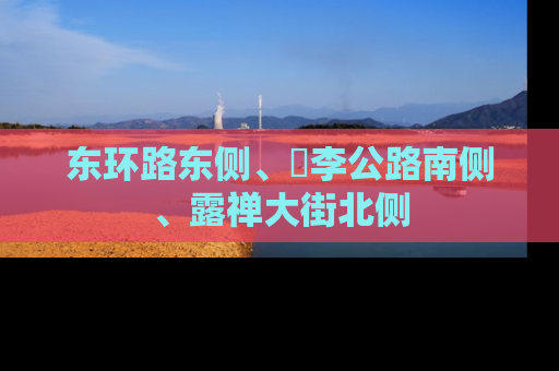 东环路东侧、洺李公路南侧、露禅大街北侧
