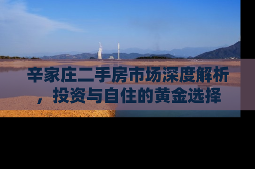 辛家庄二手房市场深度解析，投资与自住的黄金选择