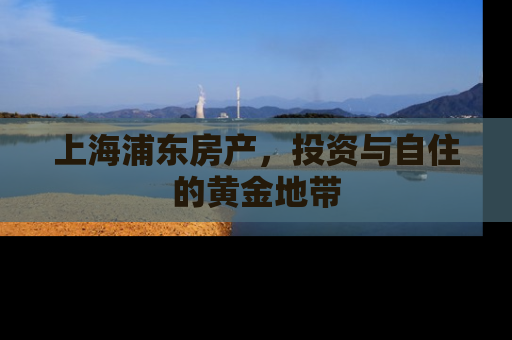 上海浦东房产，投资与自住的黄金地带