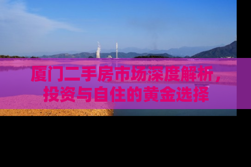 厦门二手房市场深度解析，投资与自住的黄金选择
