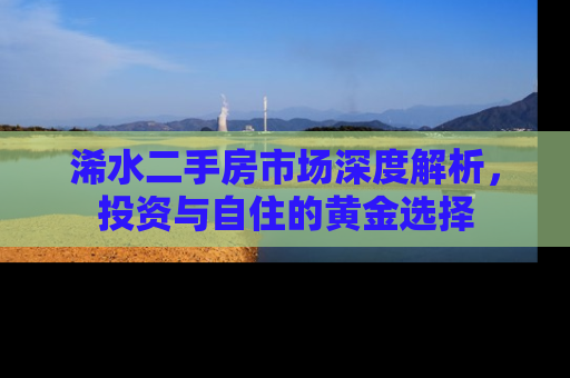 浠水二手房市场深度解析，投资与自住的黄金选择
