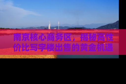 南京核心商务区，揭秘高性价比写字楼出售的黄金机遇