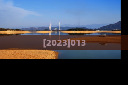 [2023]013
