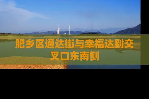 肥乡区通达街与幸福达到交叉口东南侧