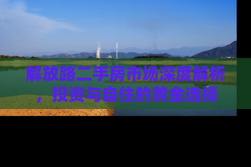 解放路二手房市场深度解析，投资与自住的黄金选择