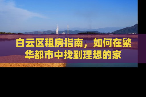 白云区租房指南，如何在繁华都市中找到理想的家