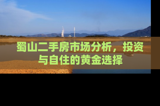 蜀山二手房市场分析，投资与自住的黄金选择