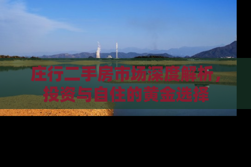 庄行二手房市场深度解析，投资与自住的黄金选择