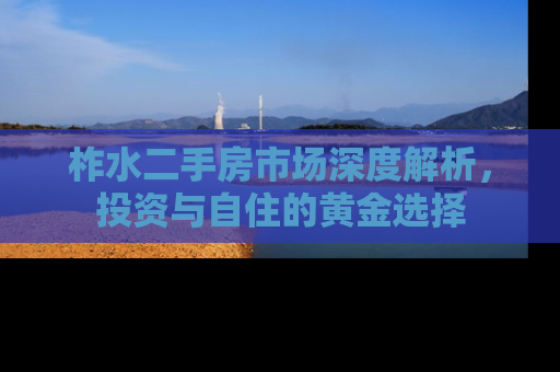 柞水二手房市场深度解析，投资与自住的黄金选择