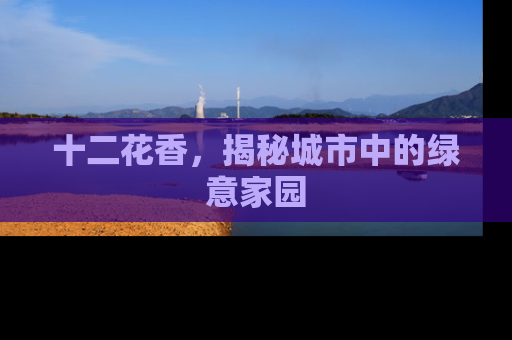 十二花香，揭秘城市中的绿意家园