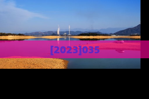 [2023]035