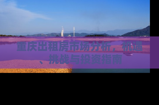 重庆出租房市场分析，机遇、挑战与投资指南