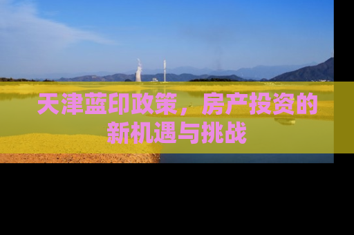 天津蓝印政策，房产投资的新机遇与挑战