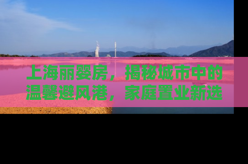 上海丽婴房，揭秘城市中的温馨避风港，家庭置业新选择