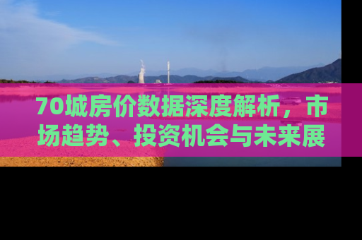 70城房价数据深度解析，市场趋势、投资机会与未来展望