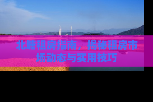 北塘租房指南，揭秘租房市场动态与实用技巧