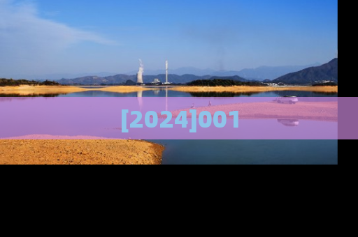 [2024]001