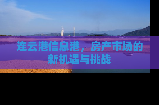 连云港信息港，房产市场的新机遇与挑战