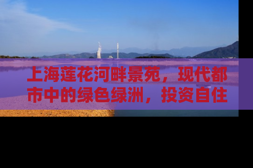 上海莲花河畔景苑，现代都市中的绿色绿洲，投资自住两相宜的房产新选择