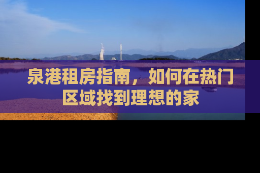 泉港租房指南，如何在热门区域找到理想的家