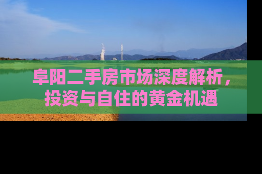 阜阳二手房市场深度解析，投资与自住的黄金机遇