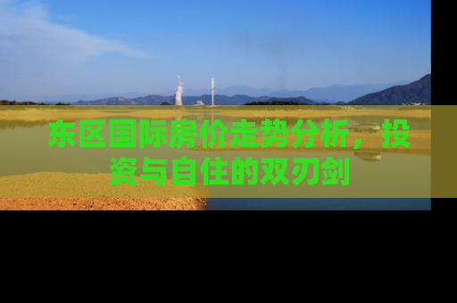 东区国际房价走势分析，投资与自住的双刃剑
