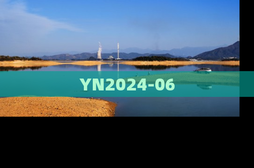 YN2024-06