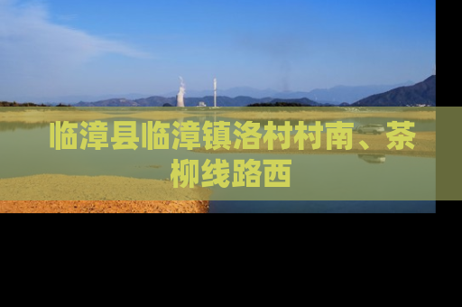 临漳县临漳镇洛村村南、茶柳线路西