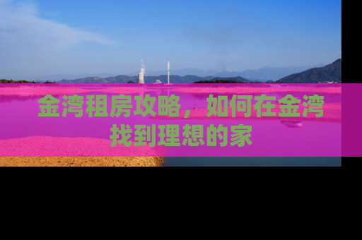 金湾租房攻略，如何在金湾找到理想的家