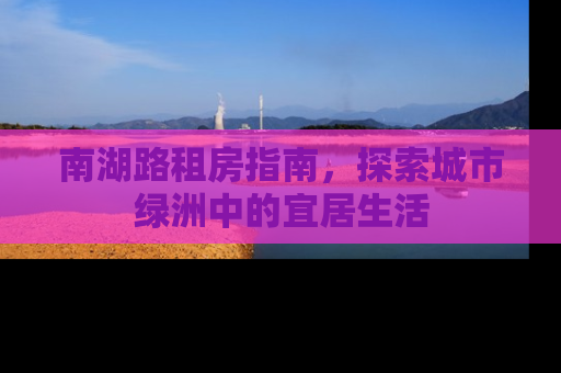 南湖路租房指南，探索城市绿洲中的宜居生活