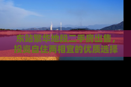 东站繁华地段二手房出售，投资自住两相宜的优质选择
