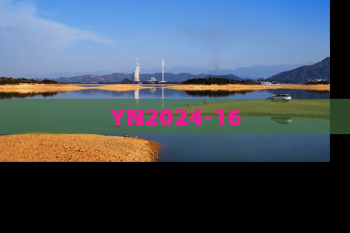 YN2024-16