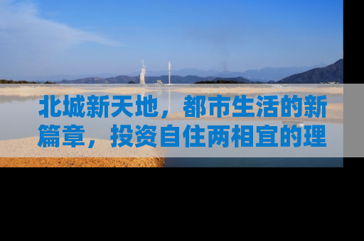 北城新天地，都市生活的新篇章，投资自住两相宜的理想选择